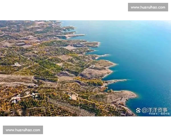 国际格局背景下土耳其对阵中国的战略博弈与区域合作新走向解析